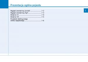 Hyundai-Ioniq-Electric-instrukcja-obslugi page 69 min