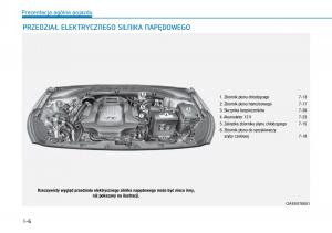 Hyundai-Ioniq-Electric-instrukcja-obslugi page 74 min