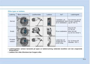 Hyundai-Ioniq-Electric-instruktionsbok page 20 min