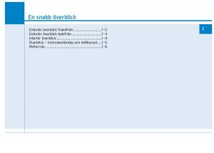 Hyundai-Ioniq-Electric-instruktionsbok page 65 min