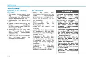 Hyundai-Ioniq-Hybrid-Handbuch page 319 min