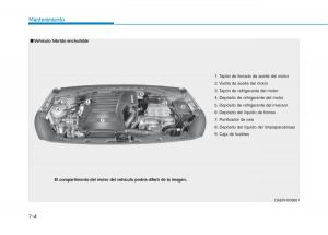 Hyundai-Ioniq-Hybrid-manual-del-propietario page 549 min