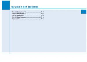 Hyundai-Ioniq-Hybrid-handleiding page 29 min