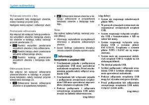 Hyundai-Ioniq-Hybrid-instrukcja-obslugi page 263 min