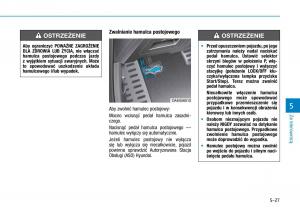 Hyundai-Ioniq-Hybrid-instrukcja-obslugi page 310 min