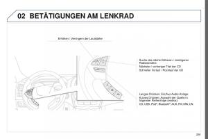 Peugeot-4008-Handbuch page 293 min