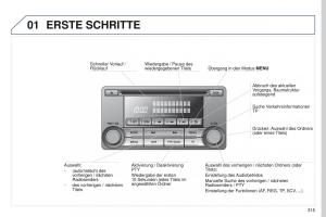 Peugeot-4008-Handbuch page 317 min