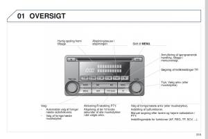 Peugeot-4008-Bilens-instruktionsbog page 317 min