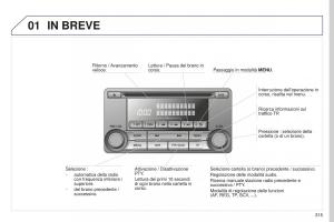 Peugeot-4008-manuale-del-proprietario page 317 min