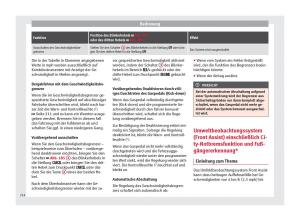 Seat-Arona-Handbuch page 216 min