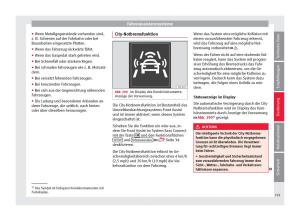 Seat-Arona-Handbuch page 221 min