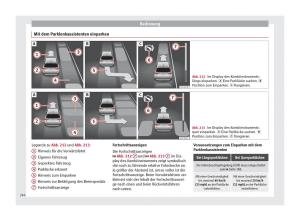 Seat-Arona-Handbuch page 248 min