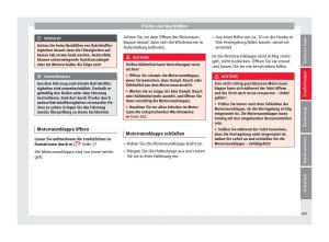 Seat-Arona-Handbuch page 287 min