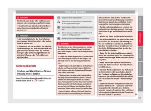 Seat-Arona-Handbuch page 295 min