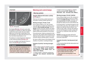 Seat-Arona-owners-manual page 119 min