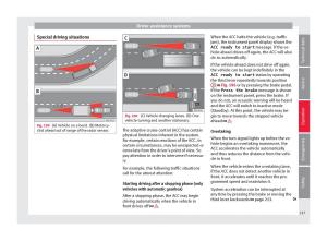 Seat-Arona-owners-manual page 219 min