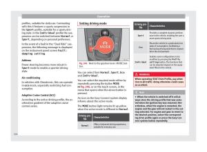 Seat-Arona-owners-manual page 228 min