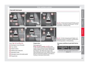 Seat-Arona-owners-manual page 235 min