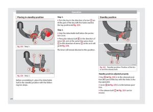 Seat-Arona-owners-manual page 248 min