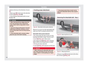 Seat-Arona-owners-manual page 250 min