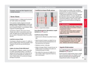 Seat-Arona-manuel-du-proprietaire page 295 min