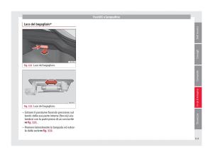 Seat-Arona-manuale-del-proprietario page 115 min