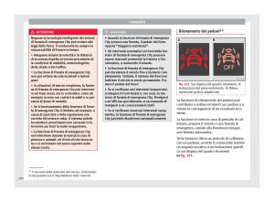 Seat-Arona-manuale-del-proprietario page 222 min