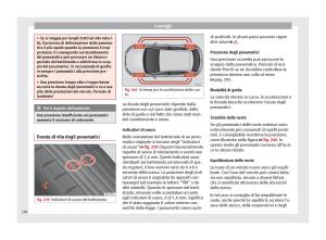 Seat-Arona-manuale-del-proprietario page 298 min