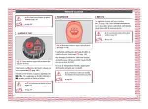 Seat-Arona-manuale-del-proprietario page 61 min