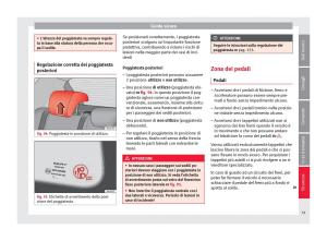 Seat-Arona-manuale-del-proprietario page 81 min