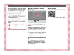 Seat-Arona-instrukcja-obslugi page 19 min