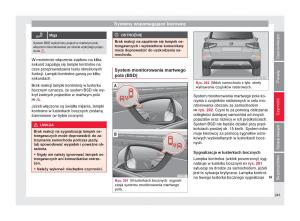 Seat-Arona-instrukcja-obslugi page 245 min