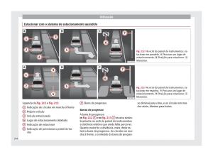 Seat-Arona-manual-del-propietario page 248 min