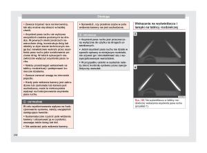 Seat-Ateca-instrukcja-obslugi page 240 min