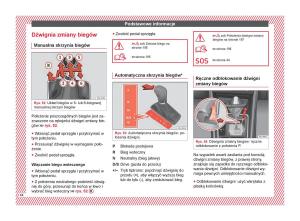 Seat-Ateca-instrukcja-obslugi page 46 min