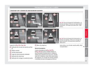 Seat-Ateca-manual-del-propietario page 255 min