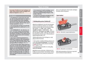 Seat-Ateca-instruktionsbok page 119 min