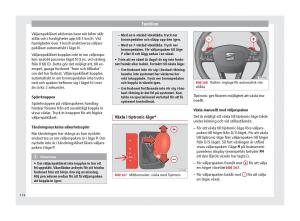 Seat-Ateca-instruktionsbok page 176 min