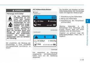 Hyundai-Kona-Handbuch page 221 min