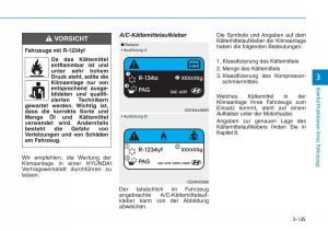 Hyundai-Kona-Handbuch page 231 min