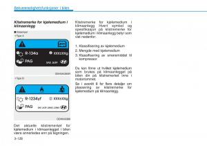 Hyundai-Kona-bruksanvisningen page 210 min