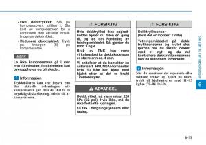 Hyundai-Kona-bruksanvisningen page 424 min