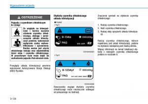 Hyundai-Kona-instrukcja-obslugi page 203 min