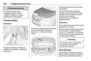 Opel-Astra-K-V-5-instrukcja-obslugi page 258 min