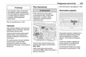 Opel-Astra-K-V-5-instrukcja-obslugi page 261 min