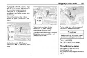 Opel-Crossland-X-instrukcja-obslugi page 199 min