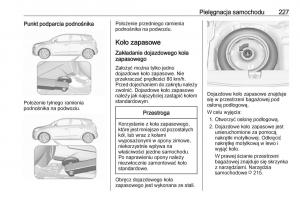 Opel-Crossland-X-instrukcja-obslugi page 229 min