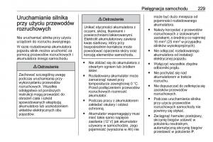 Opel-Crossland-X-instrukcja-obslugi page 231 min