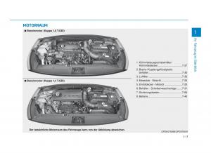 Hyundai-i30-III-3-Handbuch page 20 min