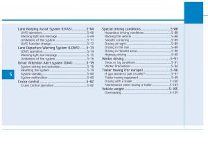 Hyundai-i30N-Performance-owners-manual page 250 min